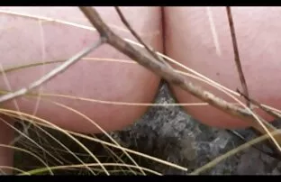 XXX Ero matura scopata nel culo ubriaco e fottutamente ubriaco.