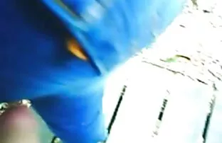 XXX Sesso con artista donne mature italiane vogliose