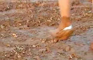 XXX Il giovane catturato mature si fanno scopare una donna sexy per sesso appassionato