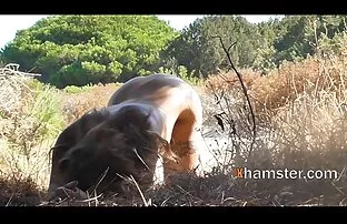 XXX Cento anni video porca matura senza un membro