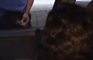 XXX Imito i suoi discepoli. donne mature italiane vogliose