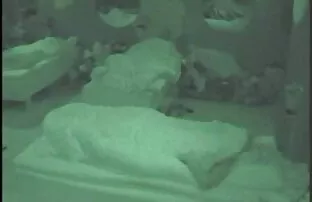 XXX Le matura con tette enormi ragazze sognano davvero di stare da sole con te stesso